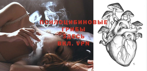 Альфа ПВП Армянск